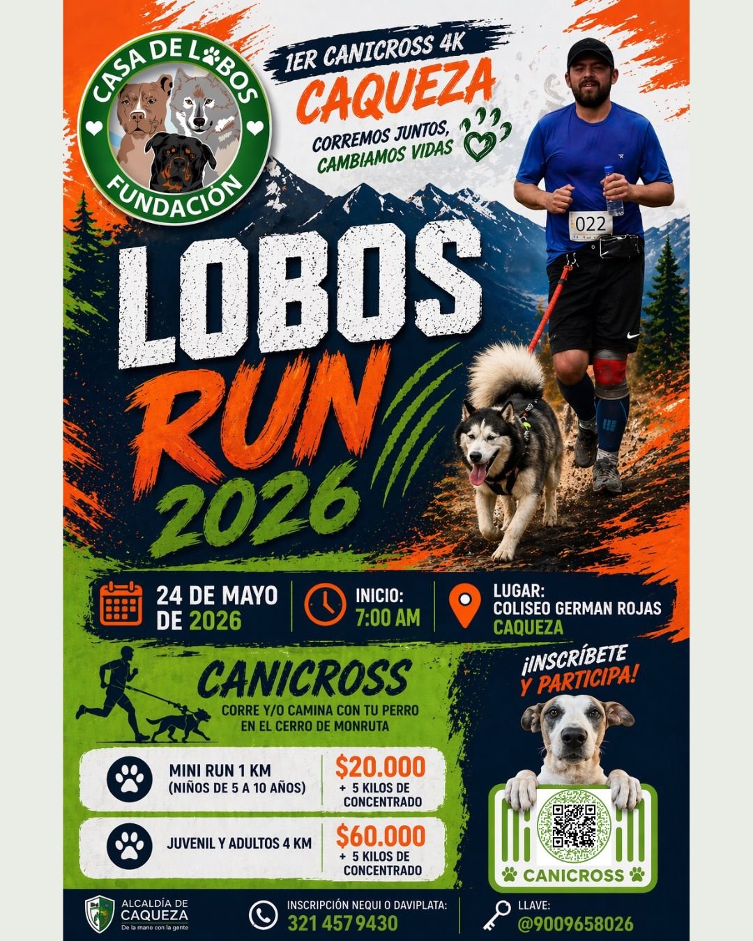 lobos run 2026